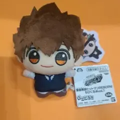 2026年最新】沢田綱吉の人気アイテム - メルカリ