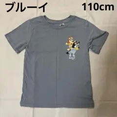Bluey Tシャツ ブルー キッズ 半袖 H&M 110cm ブルーイ　ビンゴ