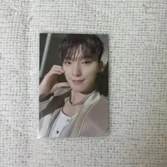 ディノ フーディ トレカ セブチ