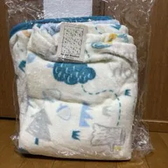 Item thumbnail for item 71d30ac5-5e75-412a-9595-3e3565869e71