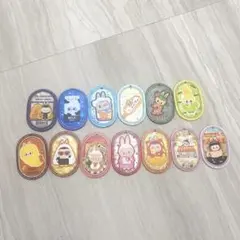 ラブブアクリルプレート13枚セット