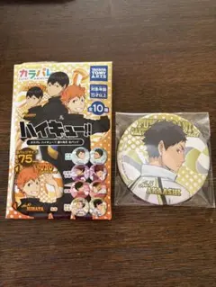 2025年最新】赤葦缶バッジの人気アイテム - メルカリ