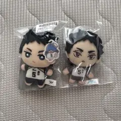 ハイキュー‼︎ サンリオコラボ ちみっともぬい セガラッキーくじ 赤葦京治