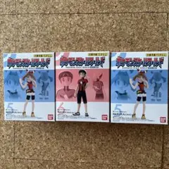 ポケモンスケールワールドホウエン地方 ハルカ（ORAS Ver） 5 ユウキ6