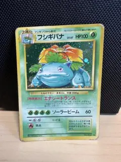 大玉全面ホロ】旧裏 フシギバナ LV.67 キラ 初代 御三家 ポケモン