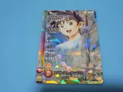 ドラゴンクエストダイの大冒険クロスブレイド ベロニカ シークレット