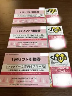 マックアース関西6スキー場　1日リフト引換券