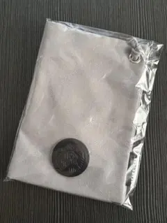 新品・未使用！2026年福袋 スターバックス サコッシュ グレー