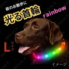 犬 ドッグ 光る 首輪 LED Lサイズ レインボー USB充電 夜間 散歩用