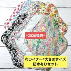 今日の福袋*布ライナー*大きめサイズ*防水有りセット