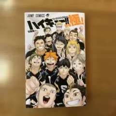 【美品】ハイキュー 1〜45巻 全巻＋33.5巻＋ハイカラ＋ガイドブック極 ハイキュー 全45巻+公式ファイナルガイドブック極!のセット