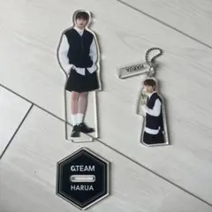&TEAM ハルア　アミューズメント　アクスター　アクキー　まとめ売り