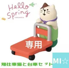 ヒラリー様 リクエスト 4点 まとめ商品