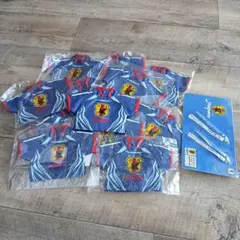 【非売品】サッカー日本代表　ミニジャージボトルキーパー・ストラップ