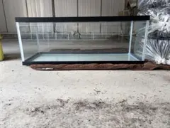 引き取り限定 120センチ水槽セット - メルカリ