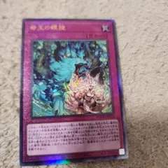 2026年最新】ドミナススパイラルの人気アイテム - メルカリ