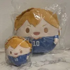 ハイキュー!! くじメイト ぬいくじ C賞 D賞 日向翔陽