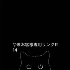 やまお客様専用リンクR 14 CASETiFY ケースティファイ
