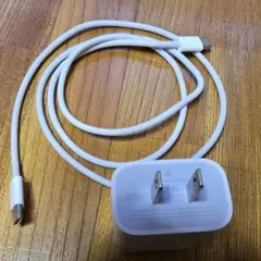 アップル　純正充電器+純正編み込みタイプＣケーブル