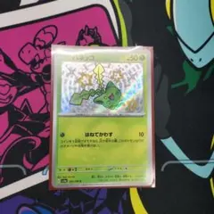 ハネッコ s