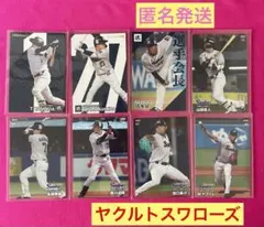 プロ野球チップス2024  ヤクルトスワローズまとめ売り