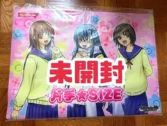 未開封！ぬらりひょんの孫 TCG プレイマット 片手★SIZE 雪女つらら氷麗