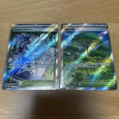 スタジアム トレーナーズ 2枚セット