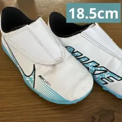 Item thumbnail for item 763c26e2-b6d6-49f4-bc0c-210ee8bf40bd