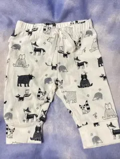 Item thumbnail for item 7f46d795-670b-4484-b8aa-405a2134b031