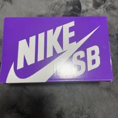 ニコールハウゼ×NIKE ダンクロー