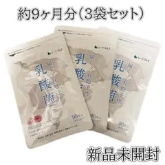有胞子性乳酸菌ソフトカプセル サプリ 9ヶ月分（3袋） シードコムス 美容サプリ