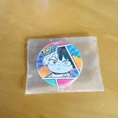 ヒロアカ コレクション缶バッジ