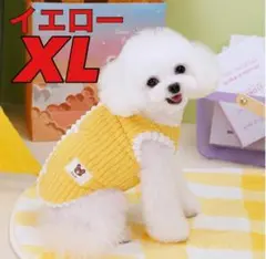 Item thumbnail for item dab62eac-7d10-4d0c-8df5-e5070a0450f5