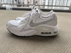 【着用2回】最新モデルNike Air Max エクシー
