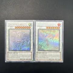 【専用】ブラック・ローズ・ドラゴン スターダスト・ドラゴン　２枚ずつ 専用】ブラック・ローズ・ドラゴン スターダスト・ドラゴン 2枚ずつ