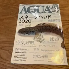 アクアライフ 2020年6月号 スネークヘッド2020 No.491