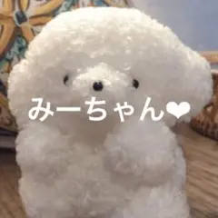 みーちゃん専用♡