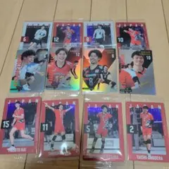 日本男子バレーツインウエハース 12枚セット