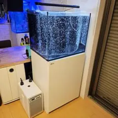 2026年最新】Red Sea 水槽の人気アイテム - メルカリ