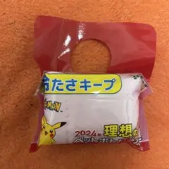 ーポケモン ピカチュウ ペットボトルカバー 2024年