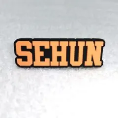 EXO ペンライトアクセサリー SEHUN セフン 2026年最新】EXO ペン ライトの人気アイテム - メルカリ