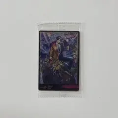 中島颯太 BOT ウエハース