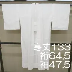 M35-1 ポリエステル 夏物 絽 長襦袢 白 ① - メルカリ