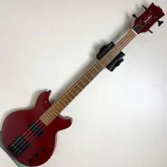 Grass Roots ESP LUNA SEA Jモデル G-J-53TVのサムネイル