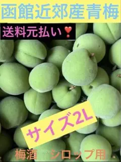 函館近郊産 青梅 2Lサイズ 梅酒・シロップ用2キロのサムネイル