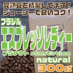 自家焙煎 コーヒー豆 ブラジル　プラナウト農園　エスプレッソレディー 300gのサムネイル