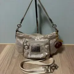 COACH Sequin Accessory Pouch 2way