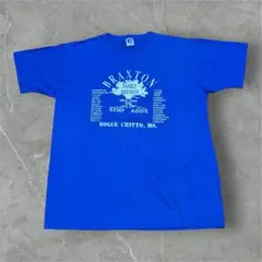 90sUSA製Russell AthleticヴィンテージtシャツLブルー
