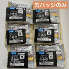 【缶バッジのみ】Disney　刺繍缶バッジ　6個セット　ディズニー