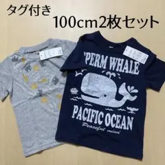 【タグ付き】ELFINDOLL キッズTシャツ 100cm 2枚セット　匿名配送のサムネイル